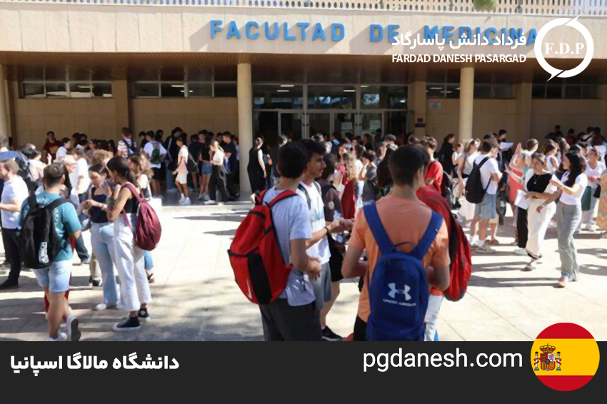 دانشگاه مالاگا
